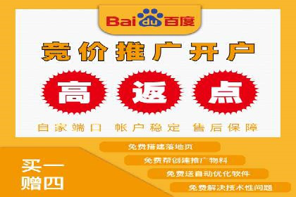 百度竞价托管运营助力电商转化案例
